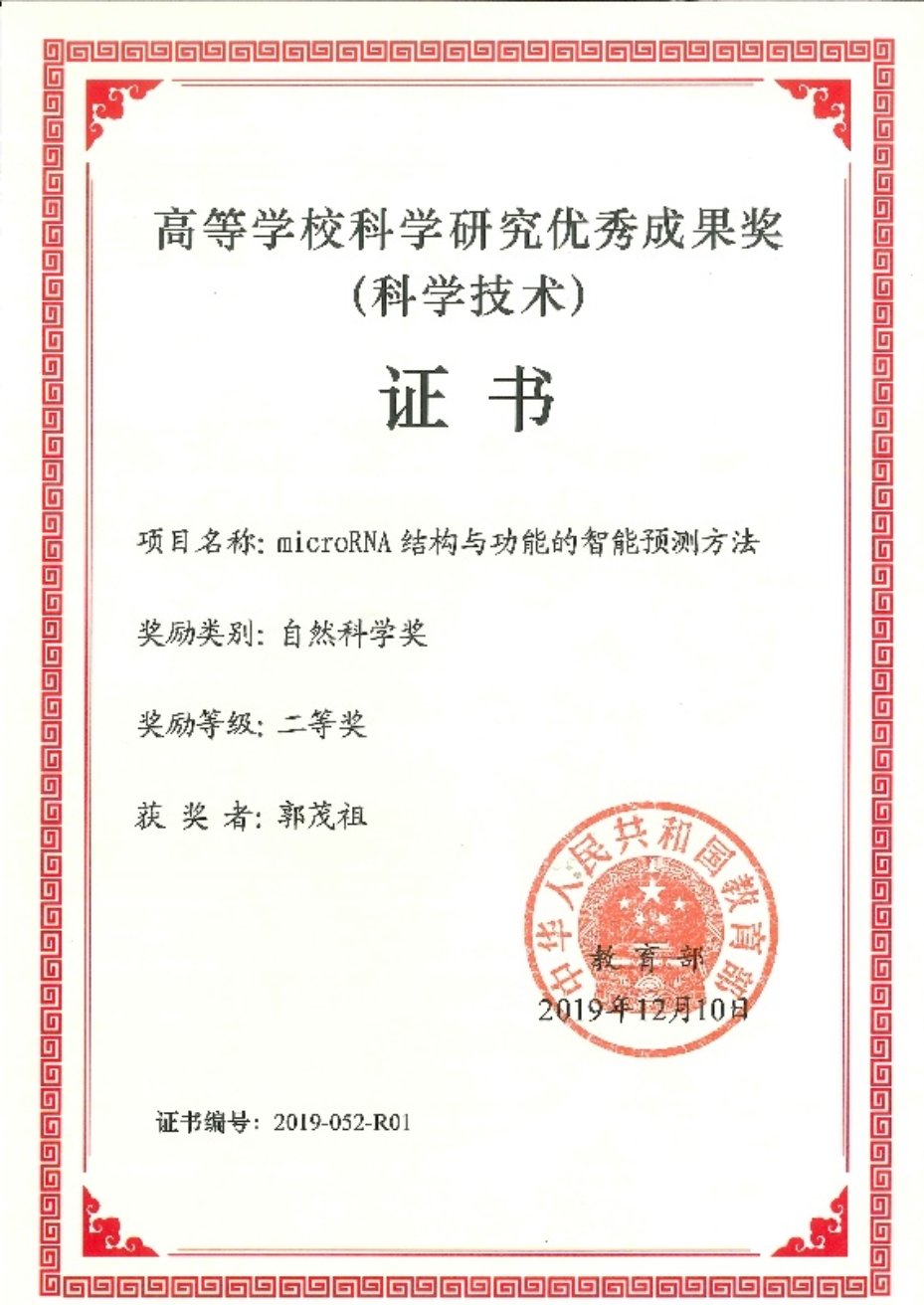 贝博ballet最新活动